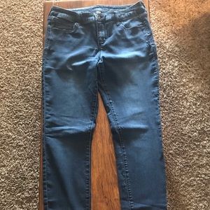 Blue Decree Skinny Jeans (Size 11)
